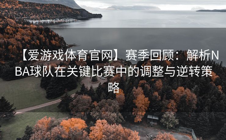 【爱游戏体育官网】赛季回顾：解析NBA球队在关键比赛中的调整与逆转策略