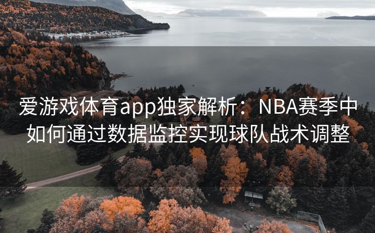爱游戏体育app独家解析：NBA赛季中如何通过数据监控实现球队战术调整