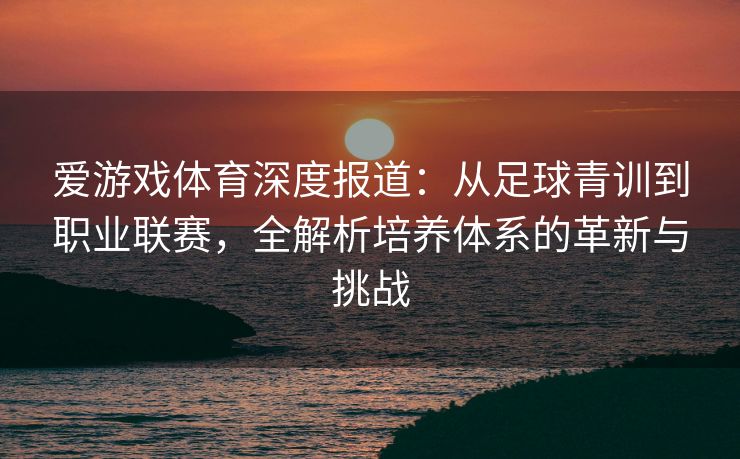 爱游戏体育深度报道：从足球青训到职业联赛，全解析培养体系的革新与挑战