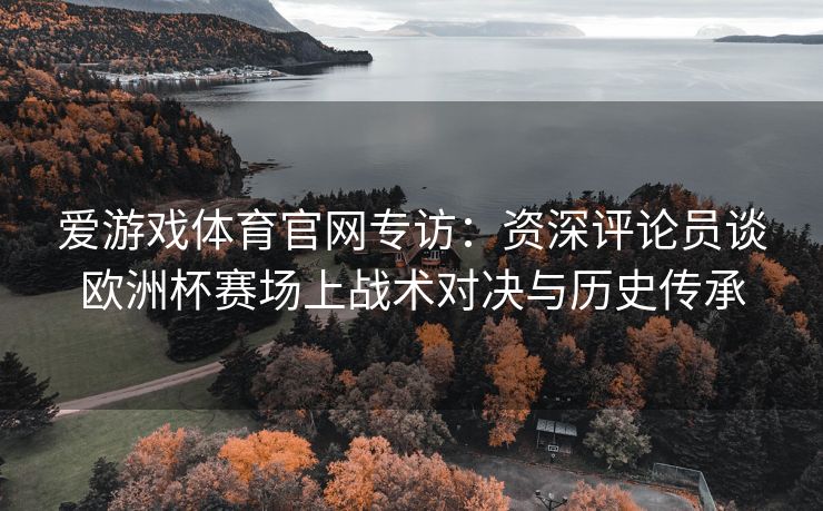 爱游戏体育官网专访：资深评论员谈欧洲杯赛场上战术对决与历史传承
